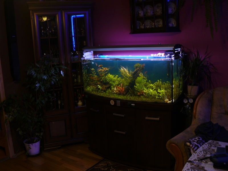P1110422.JPG