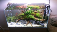 182l - Nature - emildiadiuk