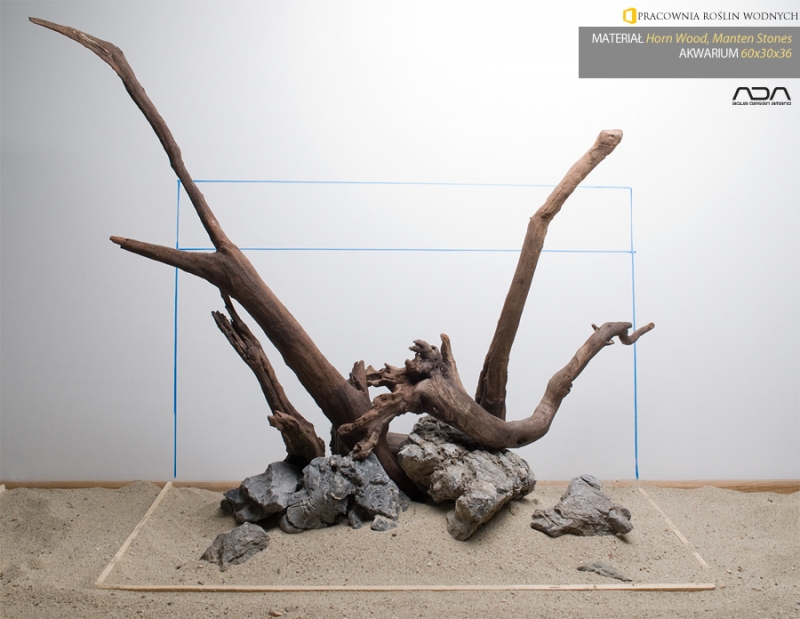 12_FB_Hardscape_Day_Projekt_Aranzacji_Akwarium_Pracownia_Roslin_Wodnych.jpg