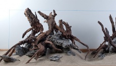 Hardscape Day - 22 listopada
