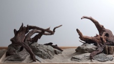 Hardscape Day - 22 listopada