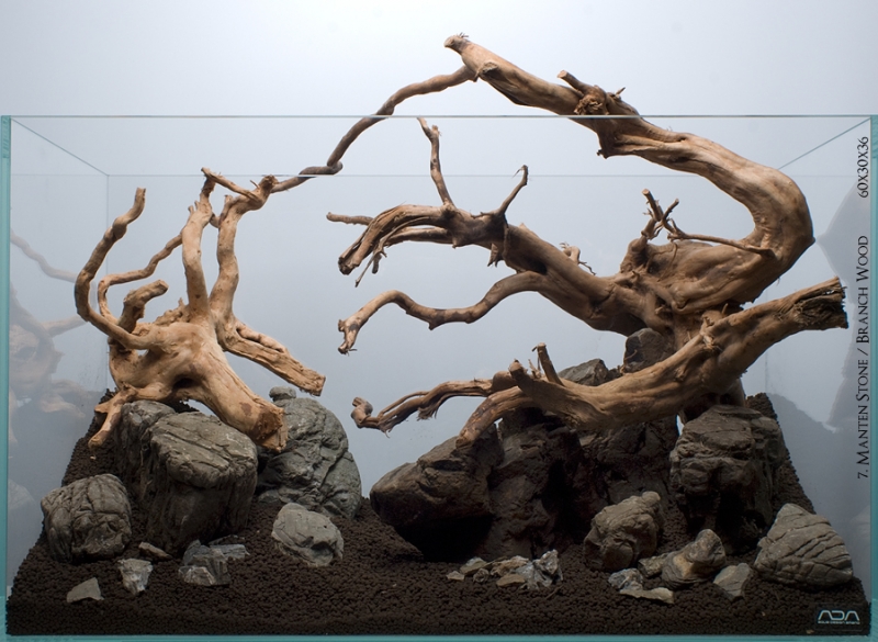 10_Hardscape_Day_Pracownia_Roslin_Wodnych.jpg
