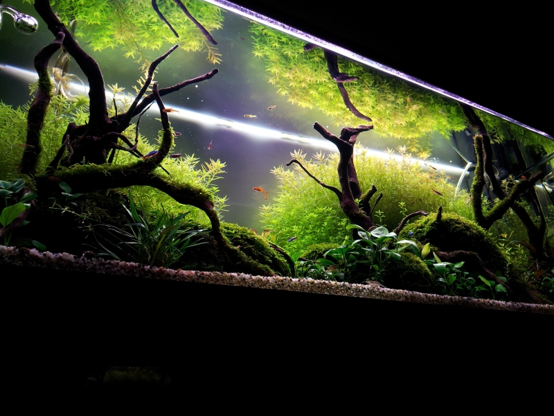 20130607_173837.jpg