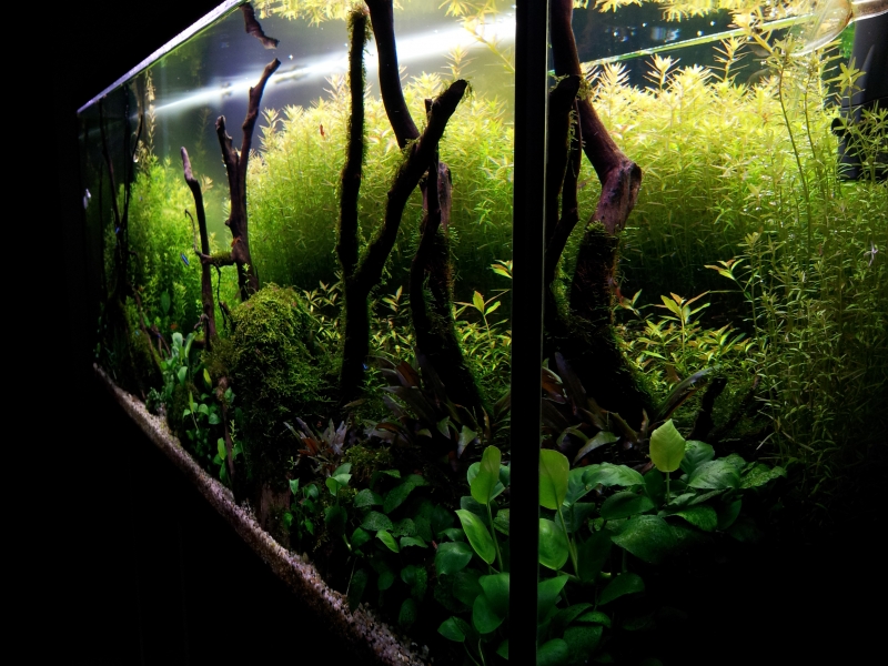 20130607_173714.jpg