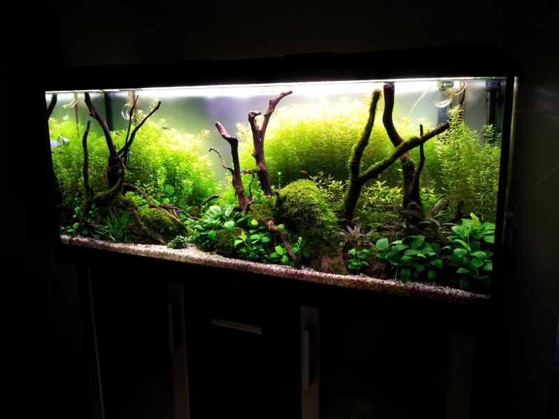 20130607_173658.jpg
