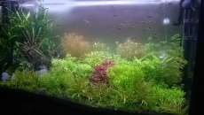 200l - Pierwsze Nature - Marcin H.