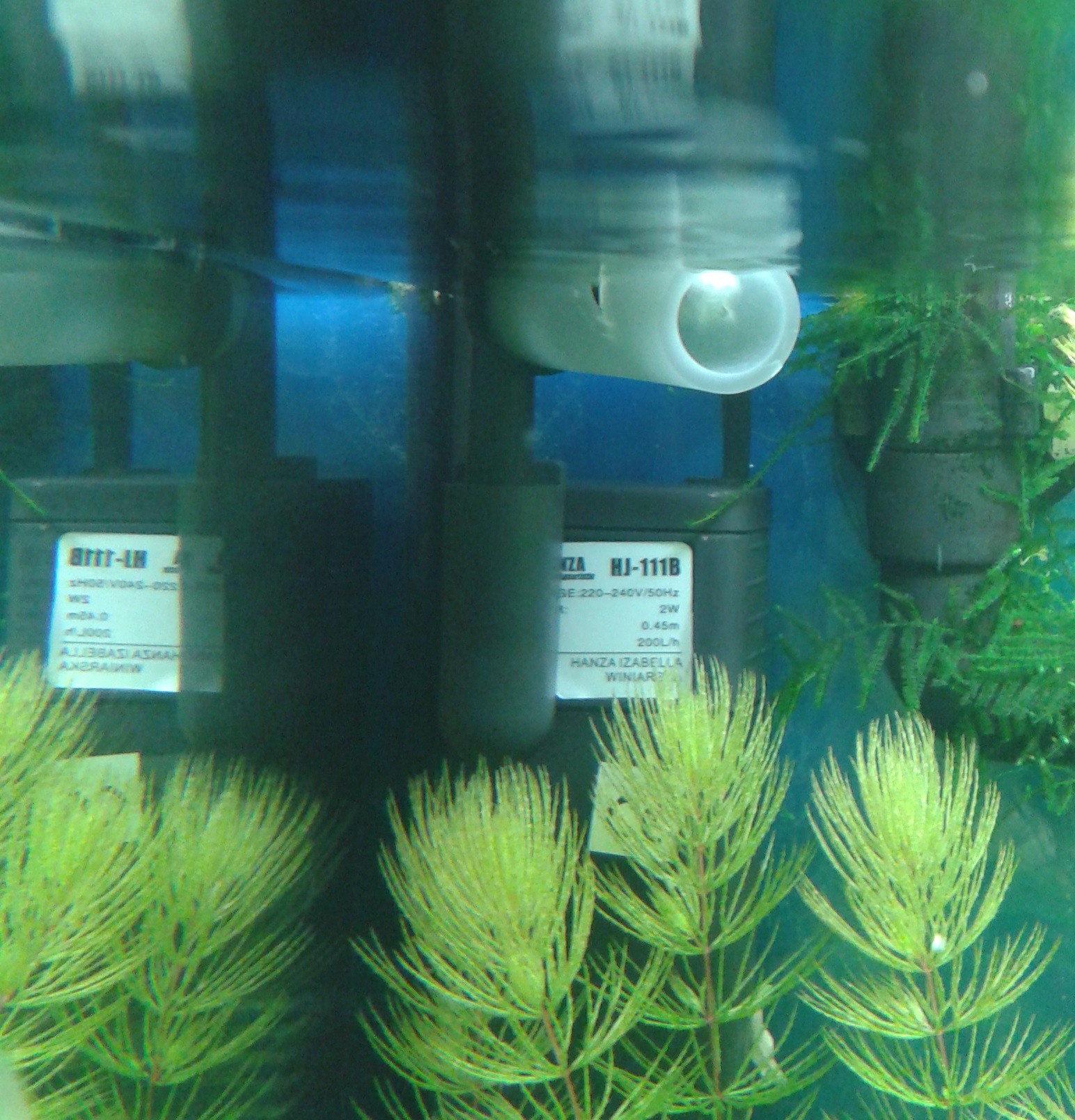 20150111_204416.jpg
