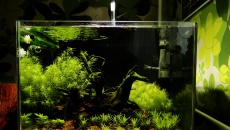 80l - Made in Asia