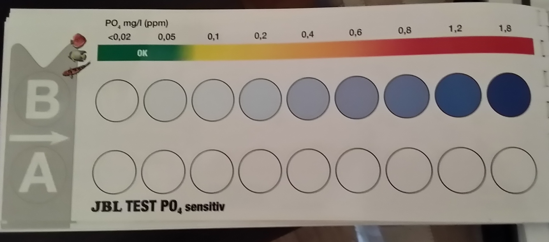 Po4.jpg