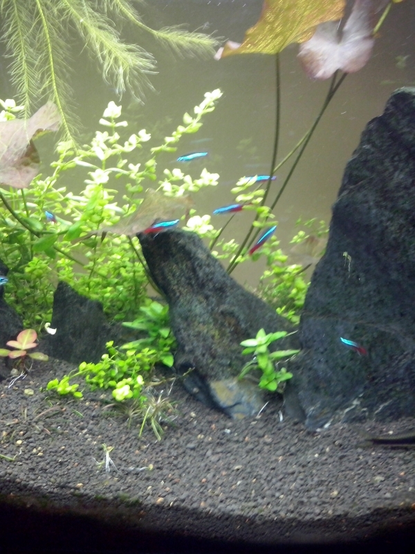 CAM00144.jpg