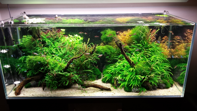 20150118_182159.jpg