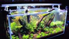 162l - Back to the roots - Kuba