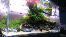 182l - Nature - emildiadiuk