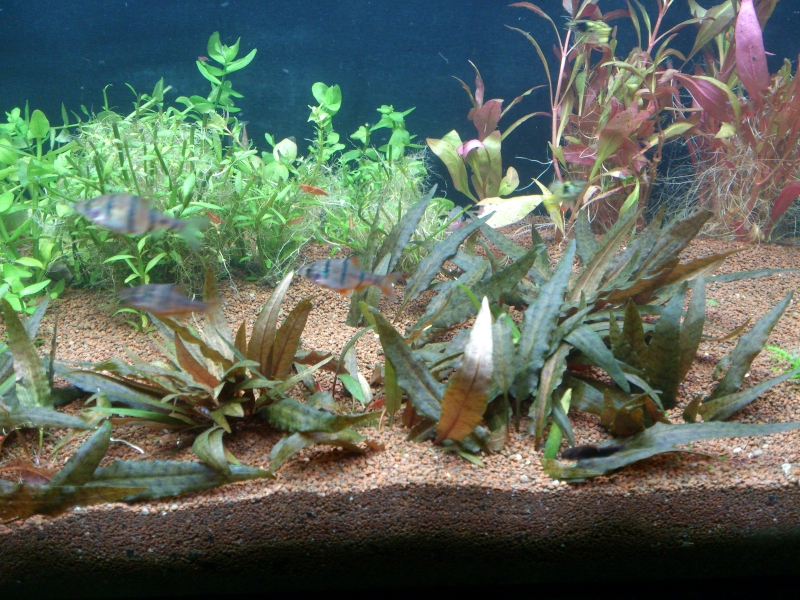 DSC_1909.jpg