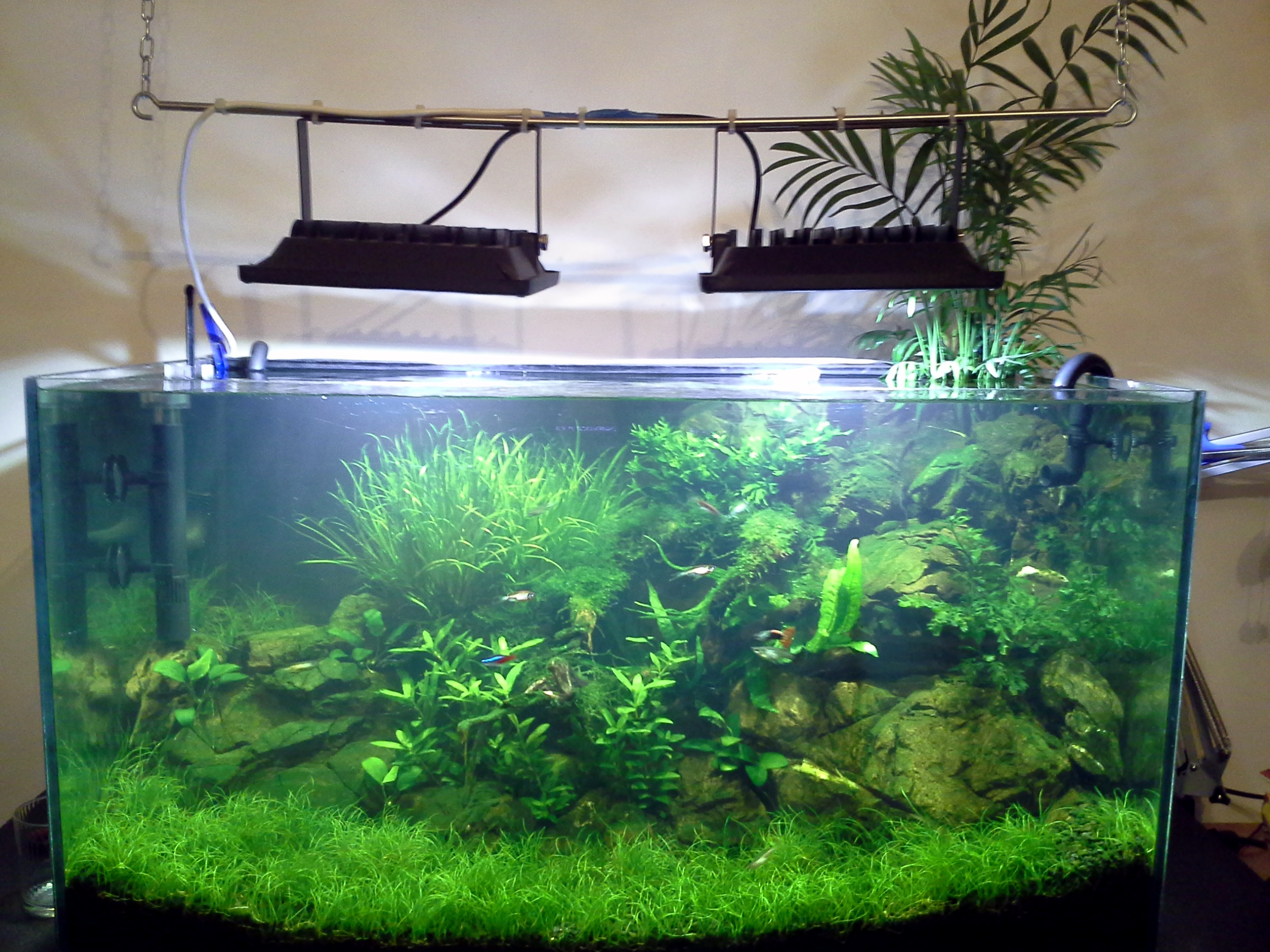 20140128_161913.jpg