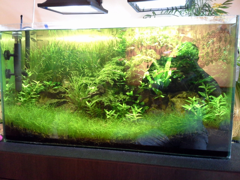 20140409_130137.jpg