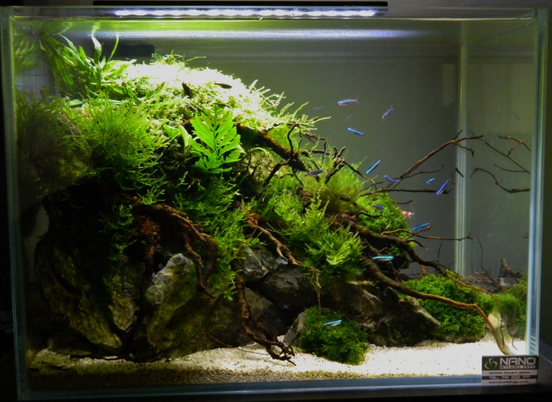 DSCN3932.JPG