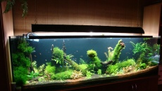 480l - 200x60x40 LED - Tomek