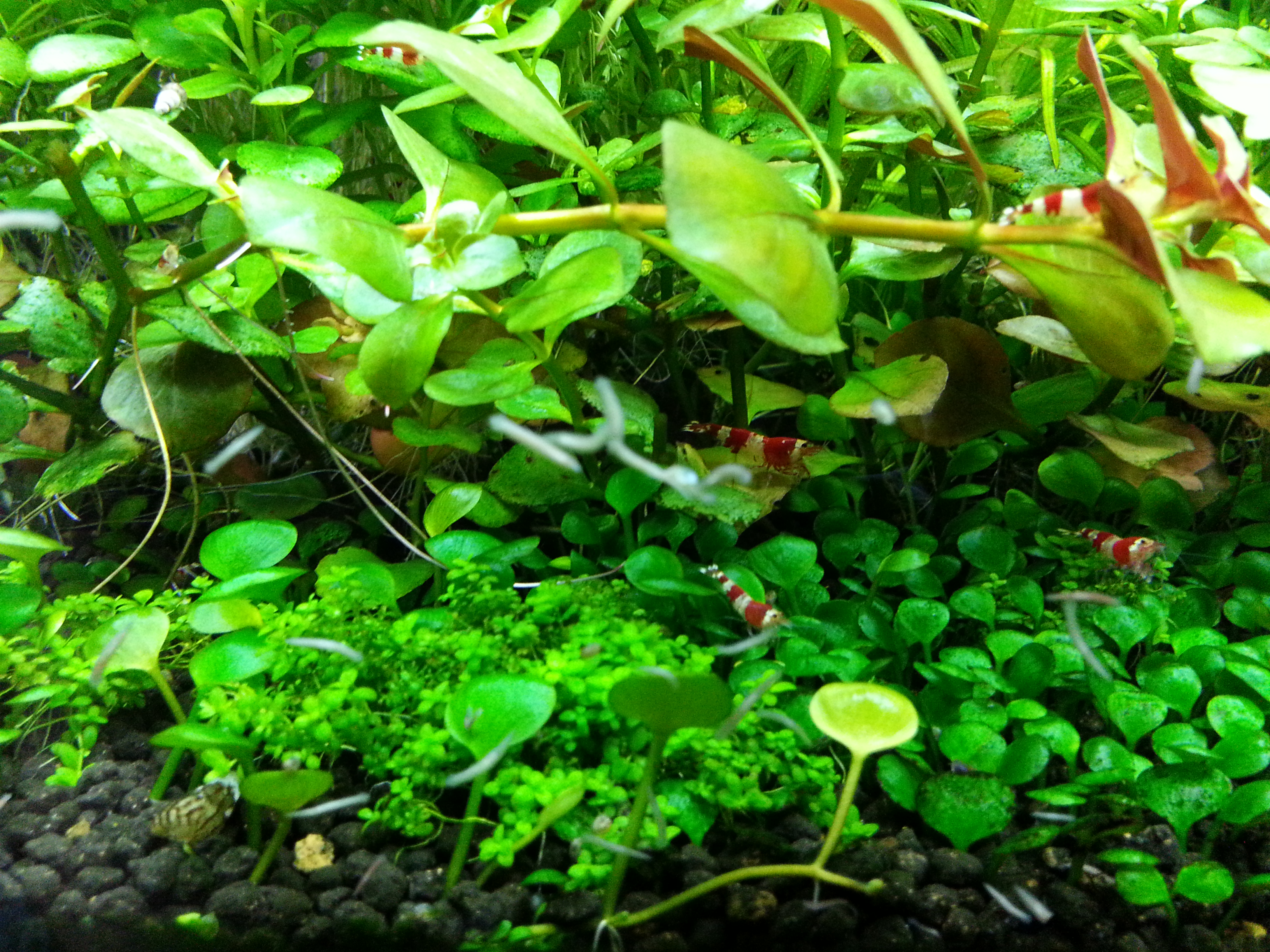 20150214_105630.jpg
