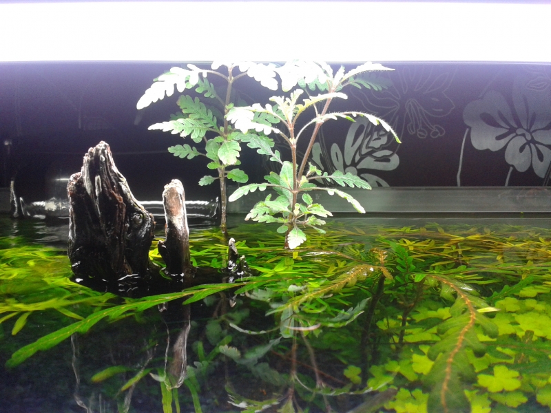 20150214_205855.jpg