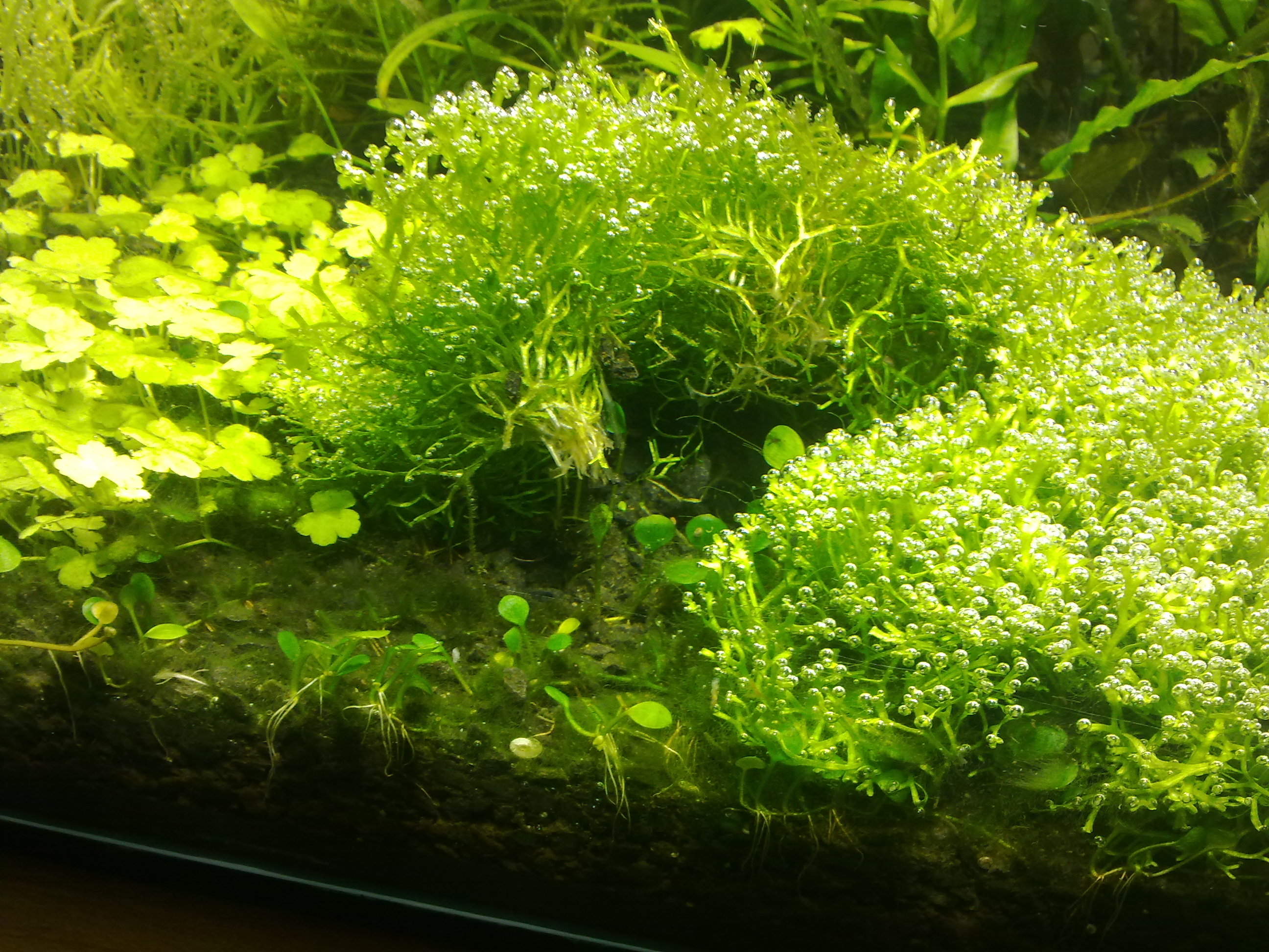 20150215908.jpg