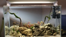 60l - darek8585