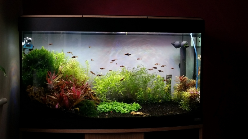 20150216_144258.jpg