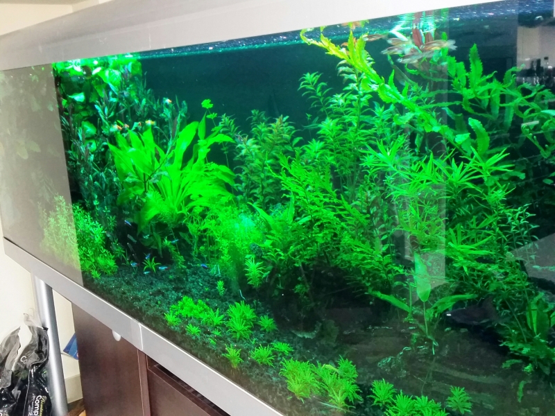 20150301_103050.jpg