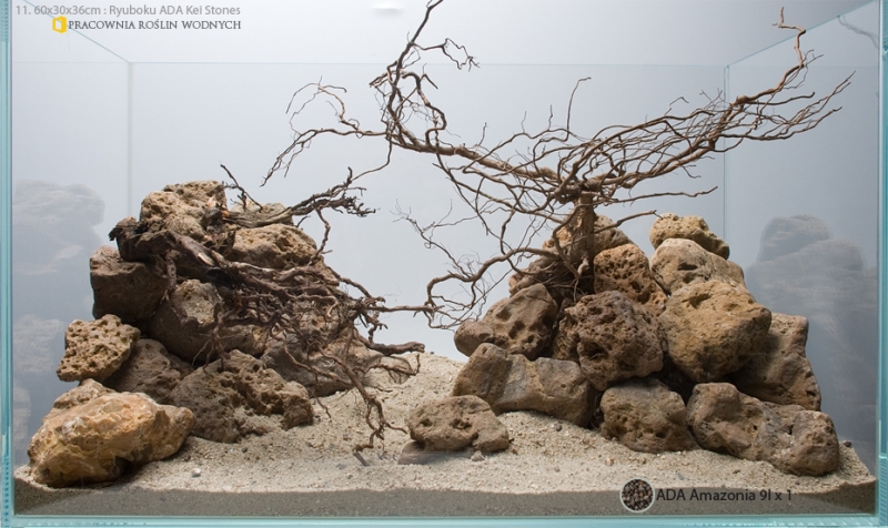 11.Hardscape-Projekt-Ryuboku-Kei-Aqua-Design-Amano-Pracownia-Roslin-Wodnych.jpg