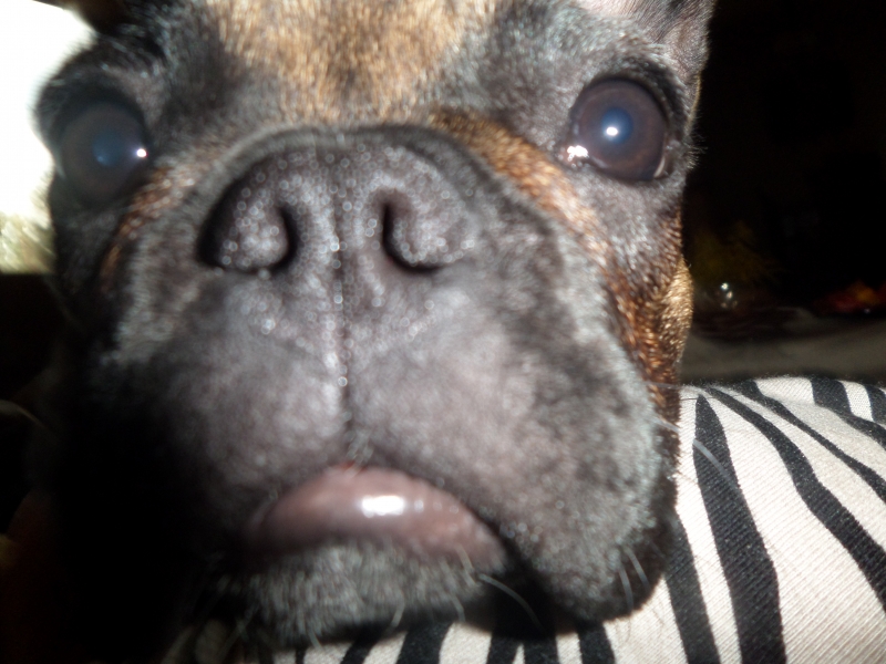 SAM_0895.JPG
