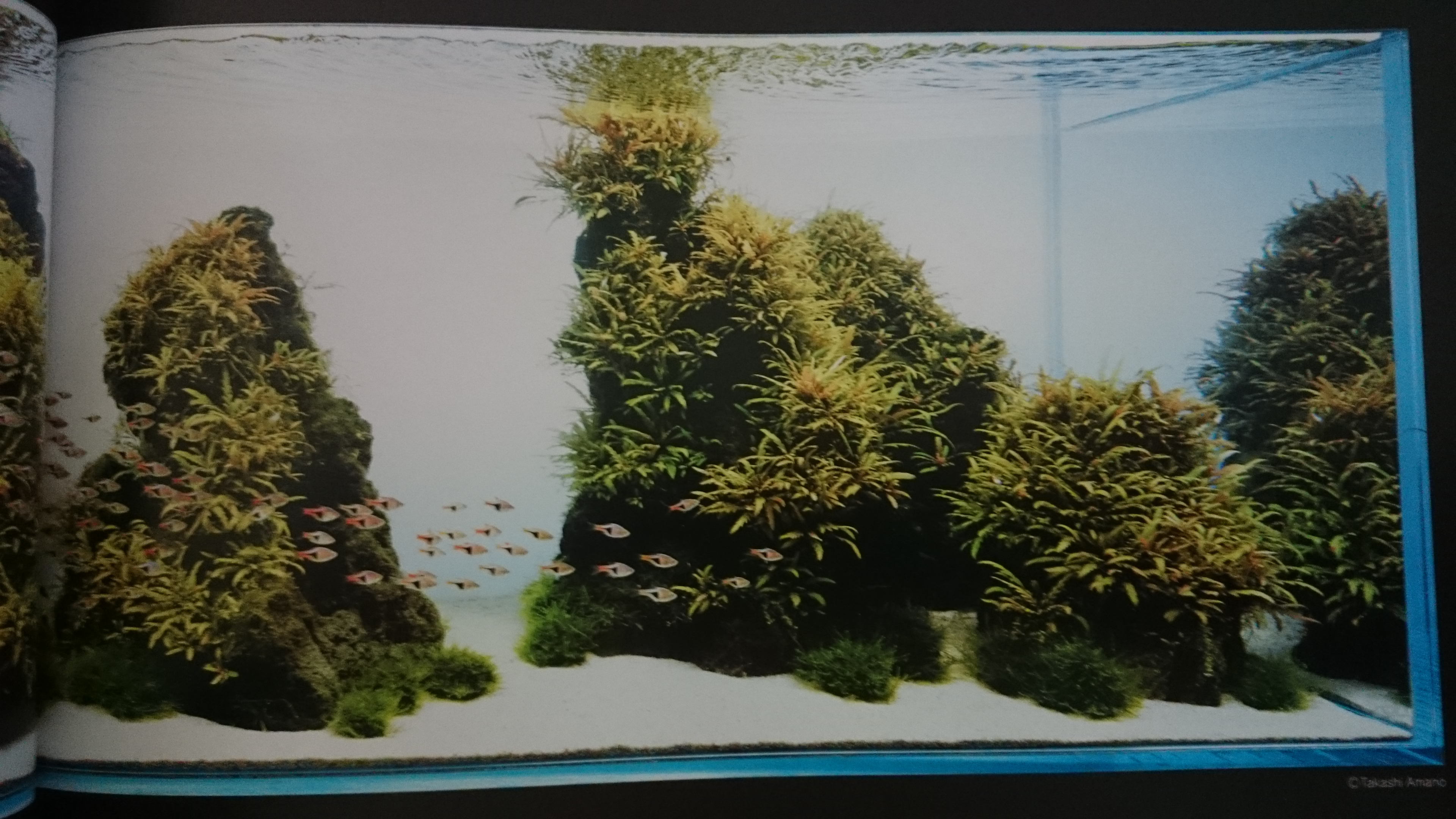 DSC_0001_10.JPG
