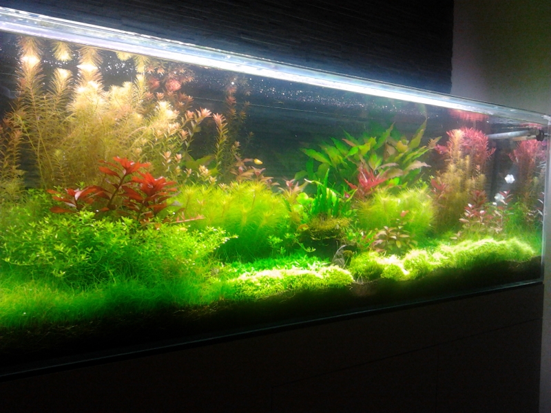 2015-03-03 19.44.44.jpg