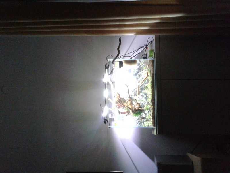 2015-01-25 22.19.27.jpg