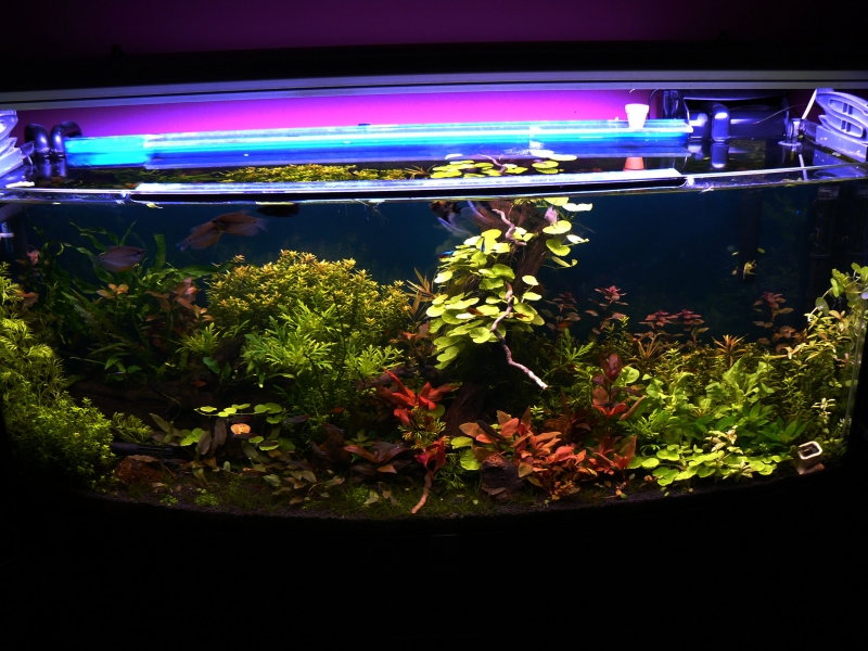 akwa216.0.jpg