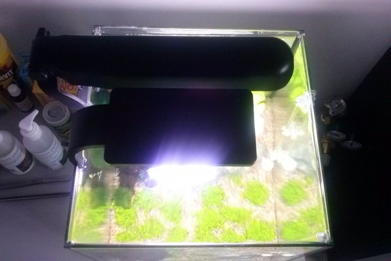 CAM00357.jpg