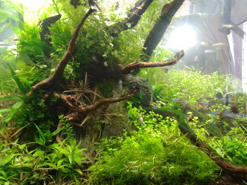 2015-03-21 08.55.49.jpg
