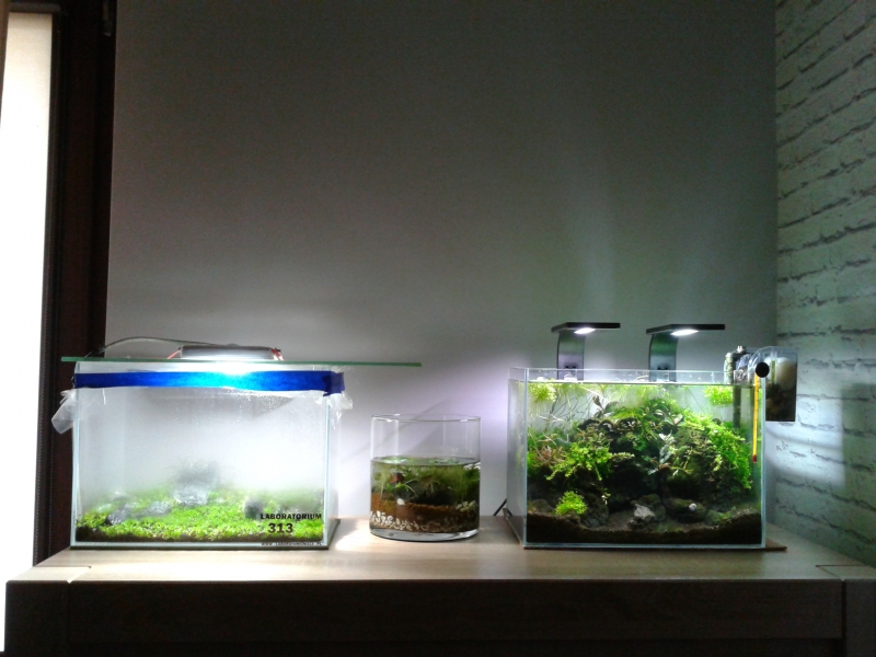 2015-03-21 08.57.23.jpg