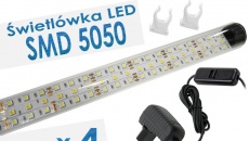 BeamsWork Power LED 600