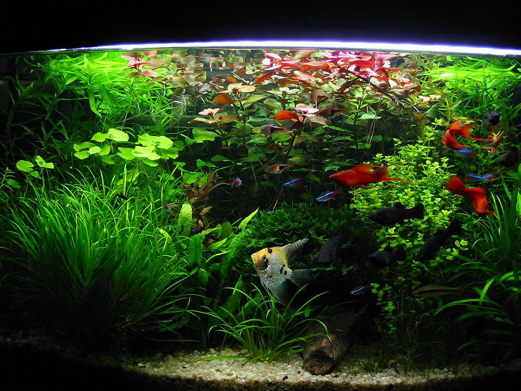 210-1078_IMG.JPG