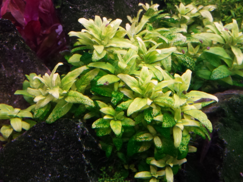 20150323_002545.jpg