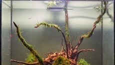 30l - prawie Mizube :) - Careme