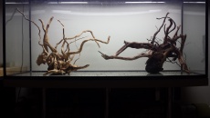 180l - LT "Naturalnie"- Darcer999