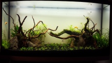 180l - LT "Naturalnie"- Darcer999