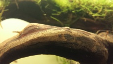 180l - LT "Naturalnie"- Darcer999