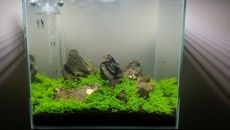 64L - Green Cube - Radosław Strzelec