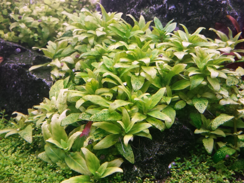20150329_222532.jpg