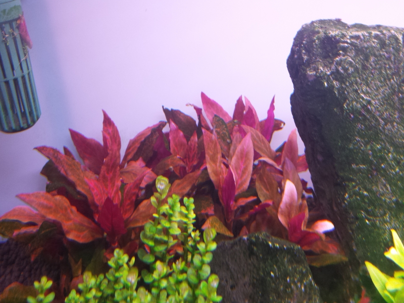 20150329_222619.jpg