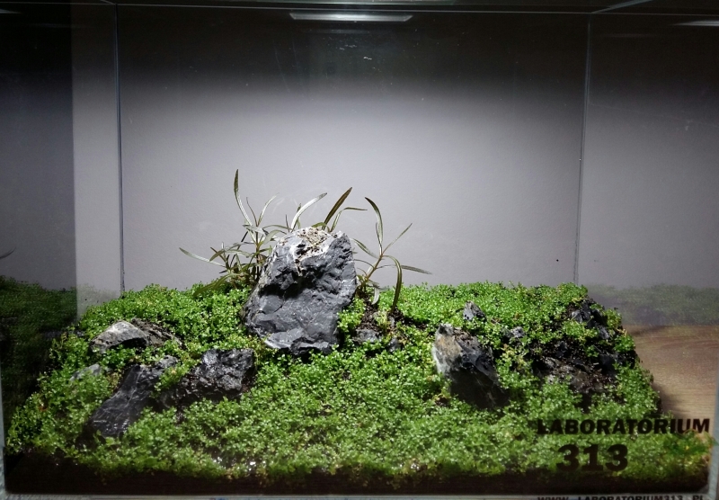 20150330_221508-1.jpg