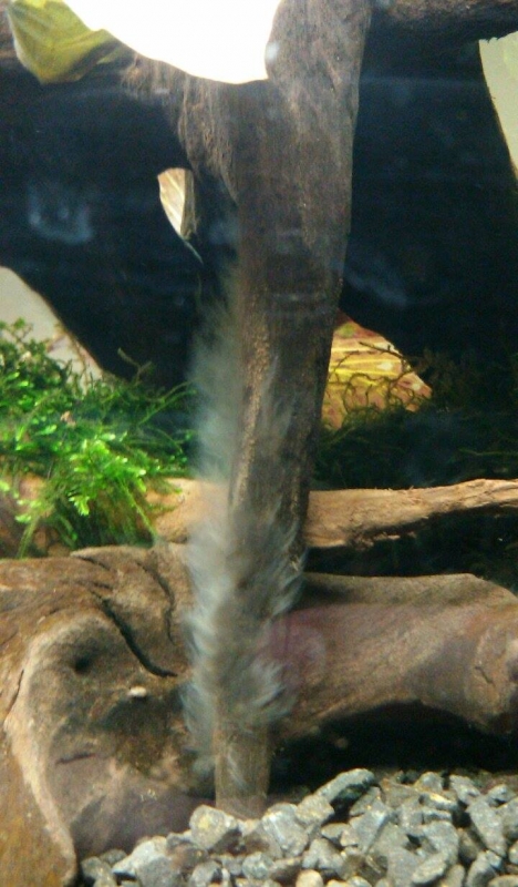 received_814116925324453.jpeg