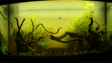 180l - LT "Naturalnie"- Darcer999